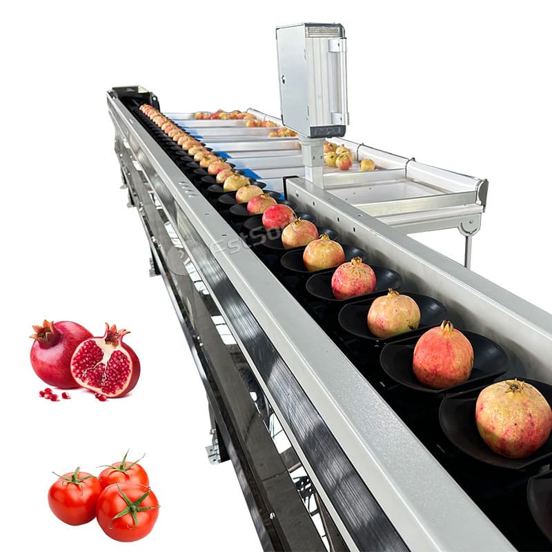 images/1763099793983guava 1.jpg